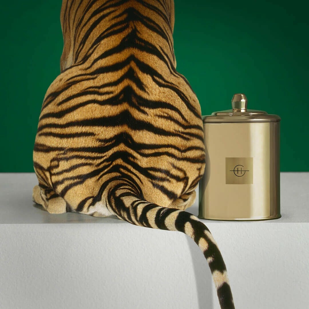 GLASSHOUSE 虎年限定 香氛蠟燭 FRAGRANCES LIMITED EDITION TIGER