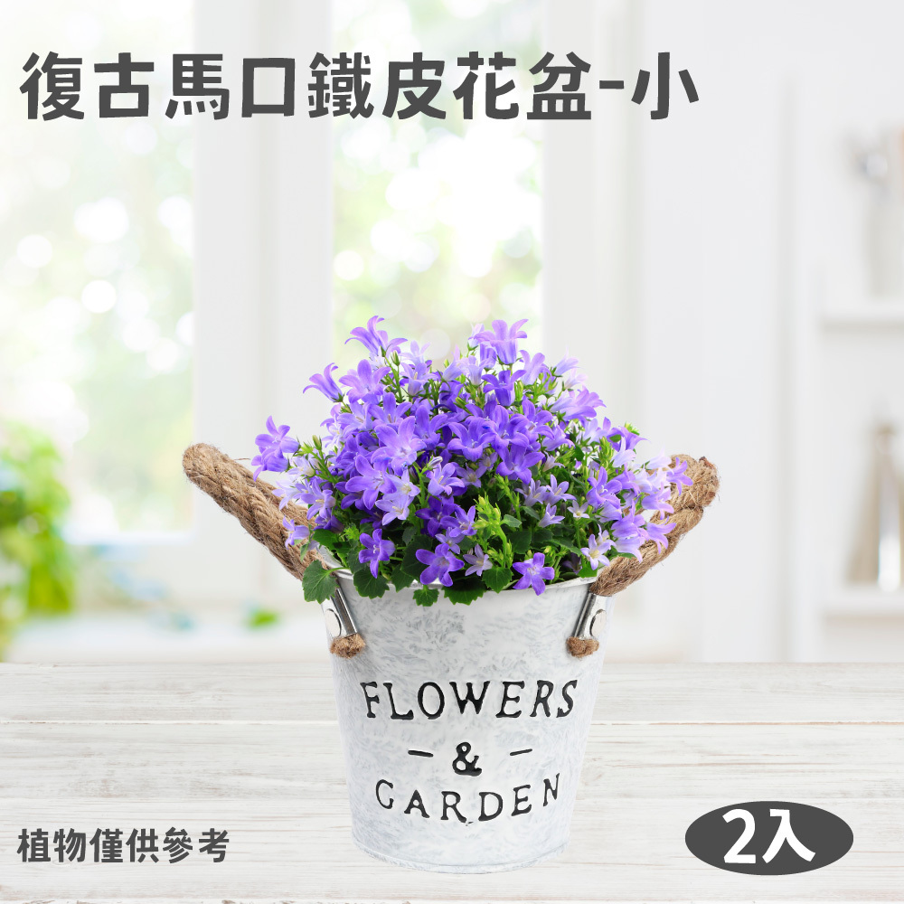 復古馬口鐵皮花盆2入-小