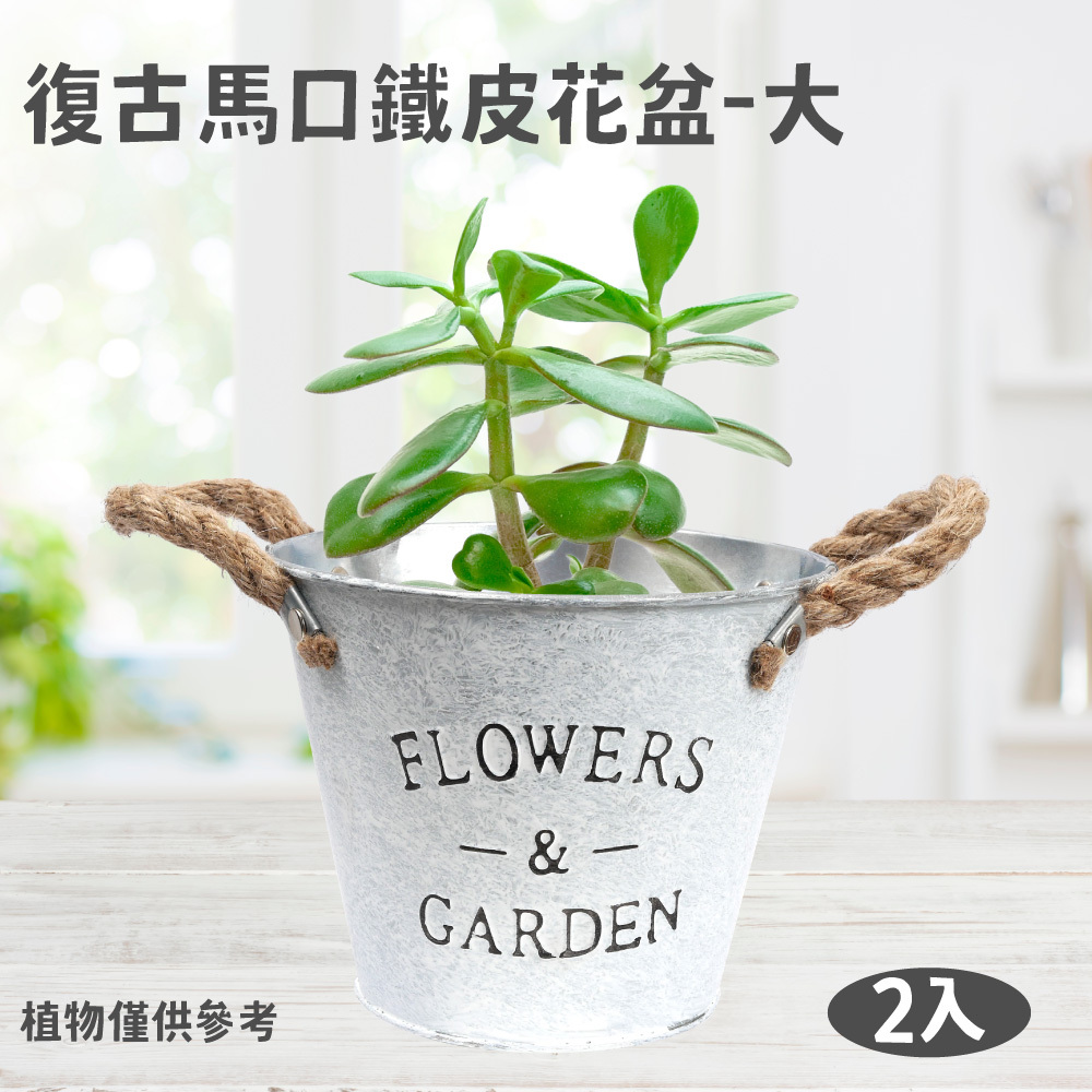 復古馬口鐵皮花盆2入-大