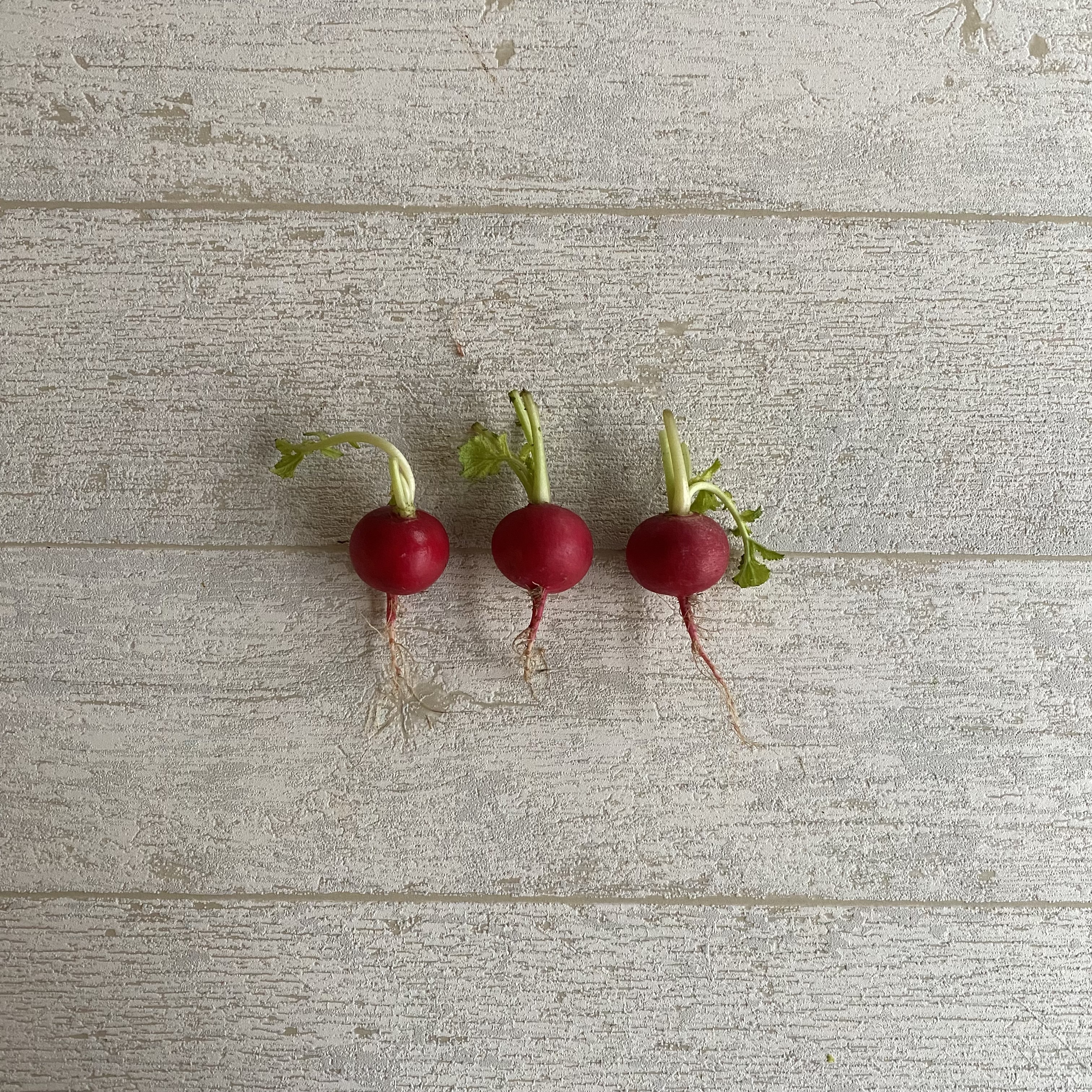 櫻桃蘿蔔(3顆)