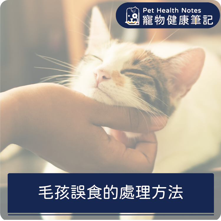 台灣,世界,貓,狗,健康,寵物,品牌,注意,飲食,專業,知識,獸醫,健康食品,寵物健康筆記