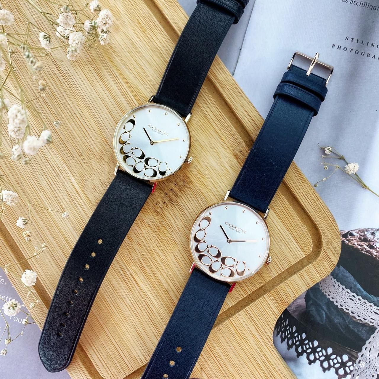 【COACH】大C經典時尚女錶 CO14503801 / CO14503802 (36mm)  現代鐘錶