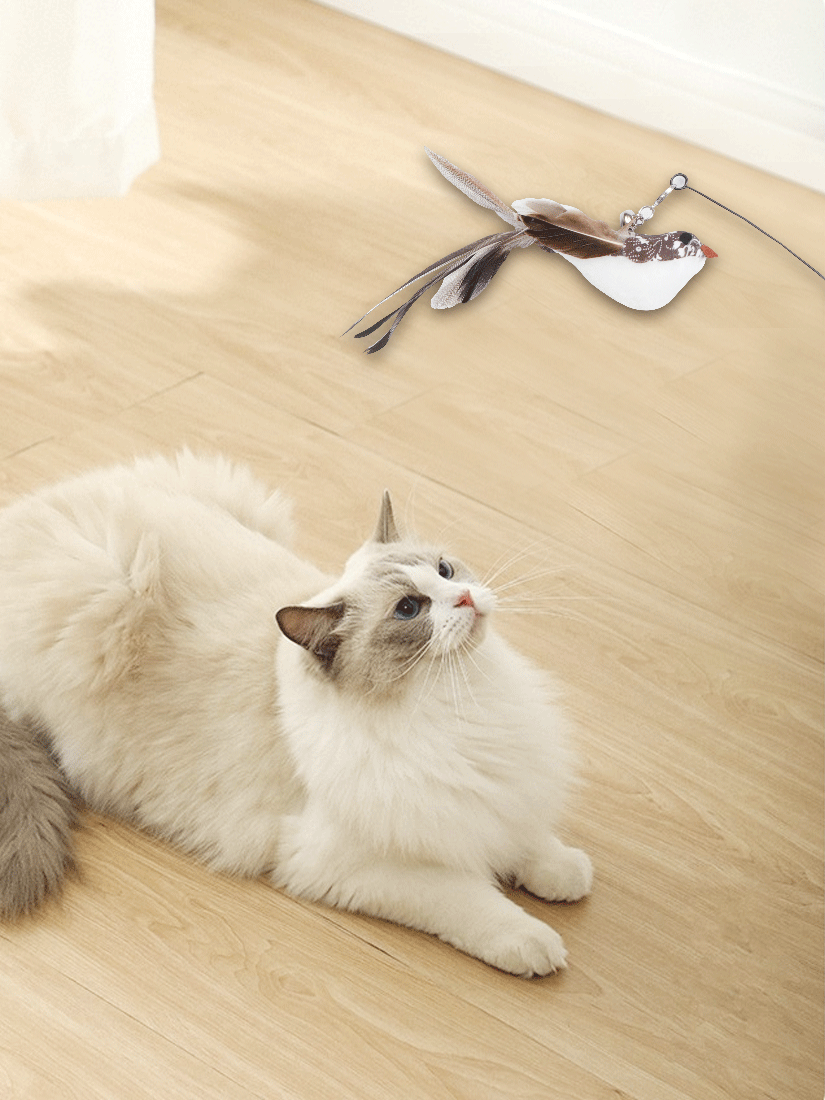 仿真小鳥逗貓棒