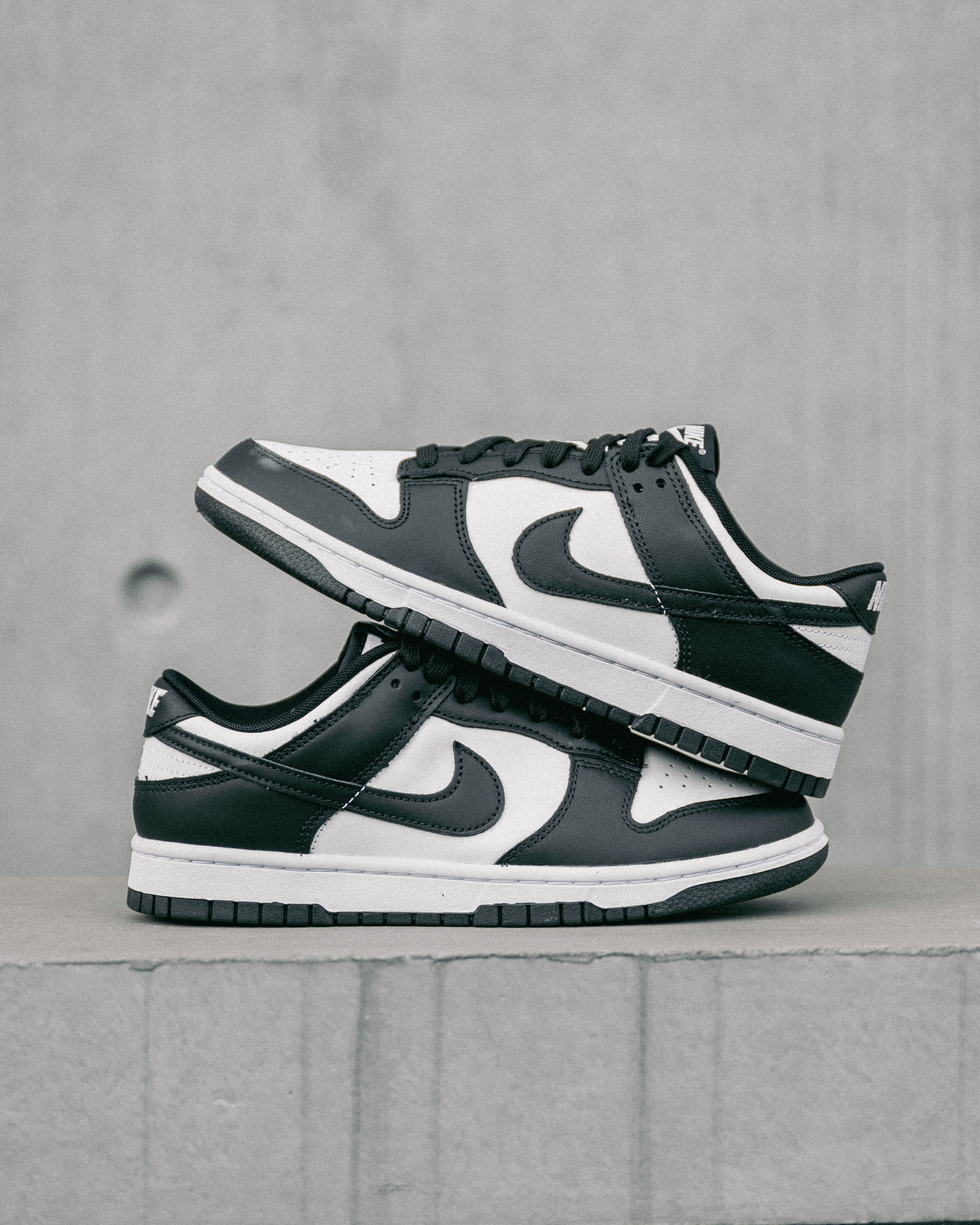 [現貨] Nike Dunk Low Panda DD1391-100
