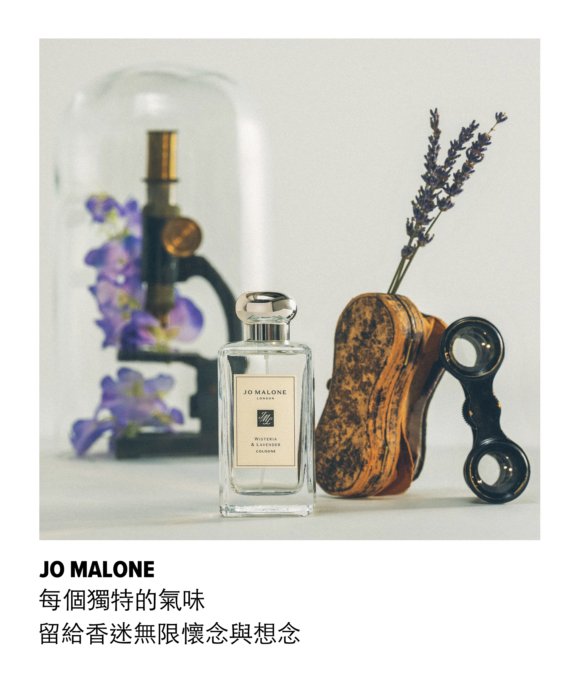 jomalone, fragrance, perfume, cologne,