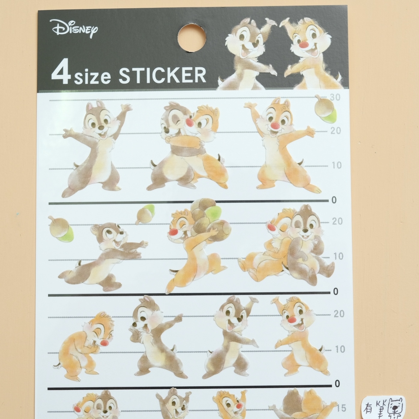 Disney Chip 'n' Dale 奇奇蒂蒂 貼紙 4size STICKER｜Kamio 日本