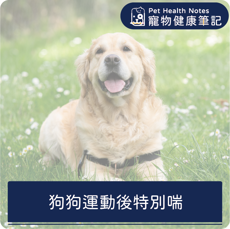 台灣,世界,狗,健康,寵物,品牌,注意,專業,知識,獸醫,健康食品,寵物健康筆記,喘,運動不耐,中暑,心臟病