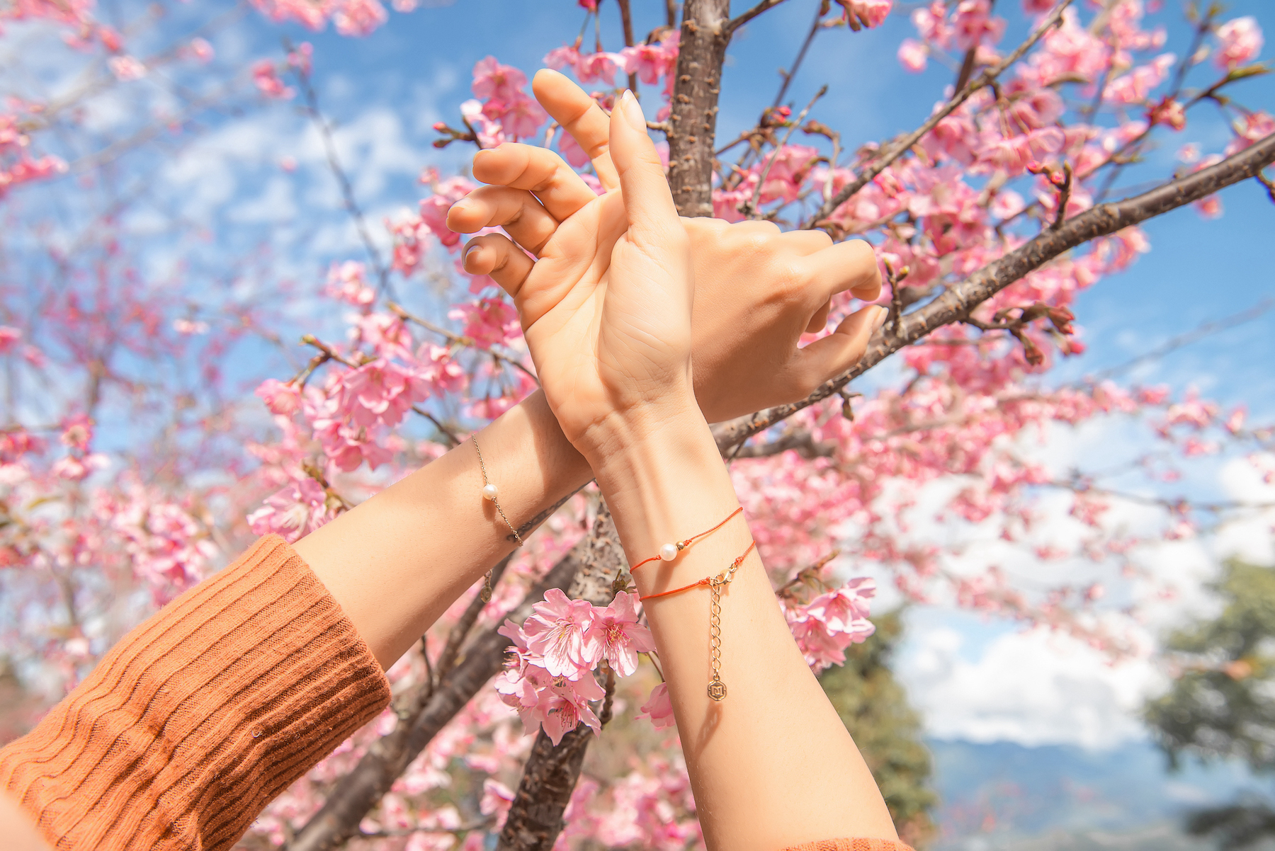 紅繩,走春,櫻花