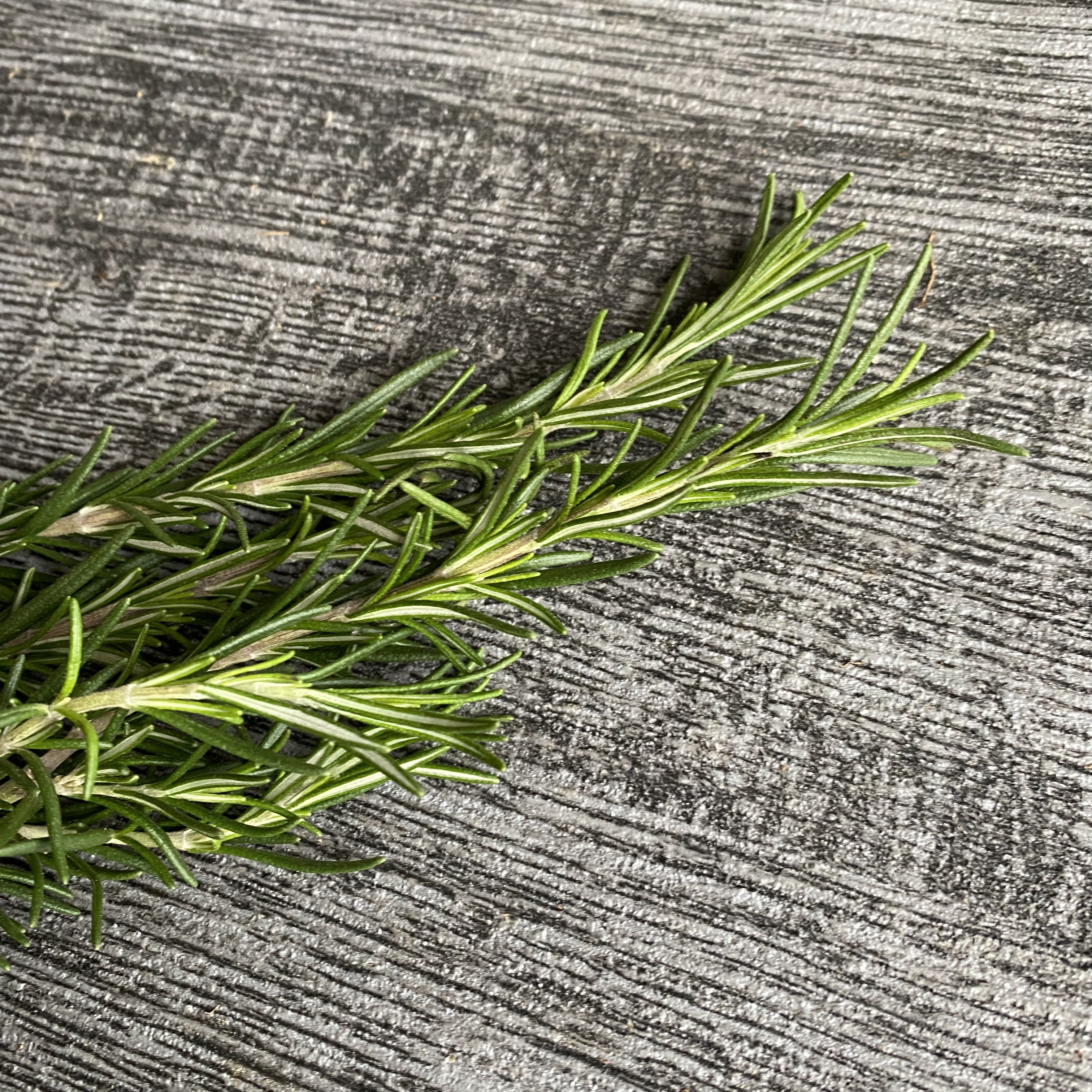 迷迭香_迷你份量30g