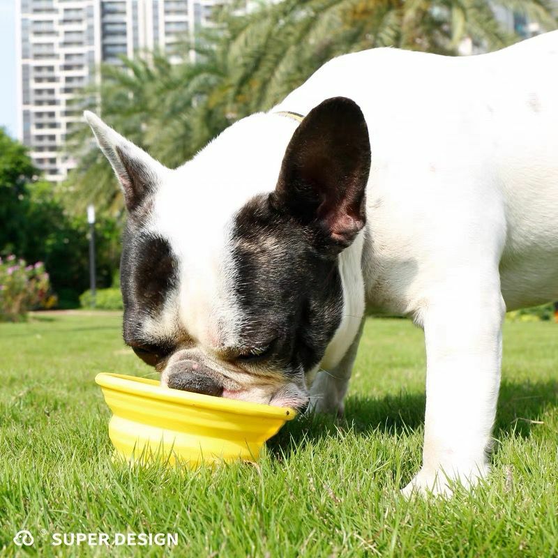 Super Collapsible Bowl 摺疊碗 顏色隨機（外出用品）