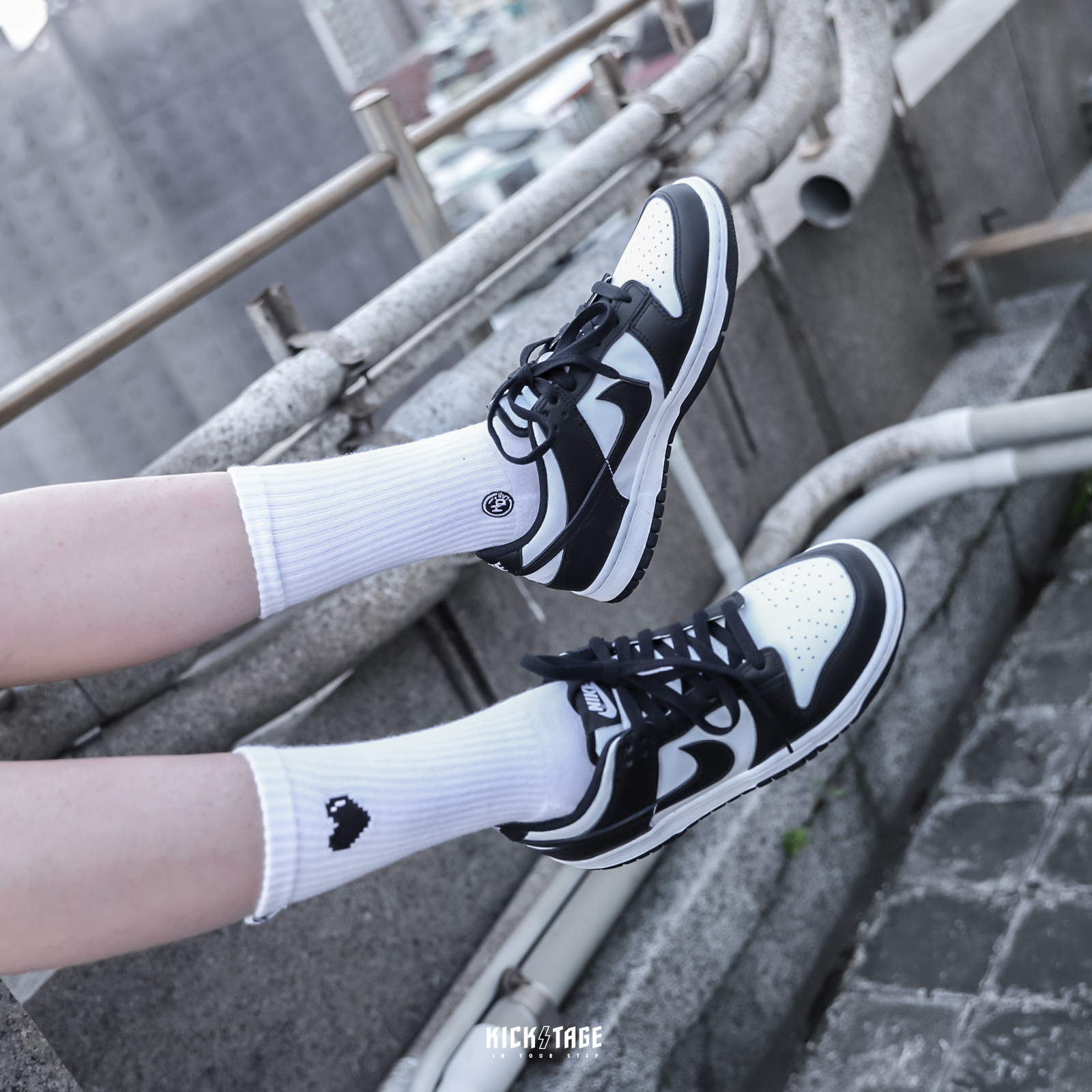 NIKE DUNK LOW (GS) PANDA 黑白熊貓低筒休閒鞋【CW1590-100】