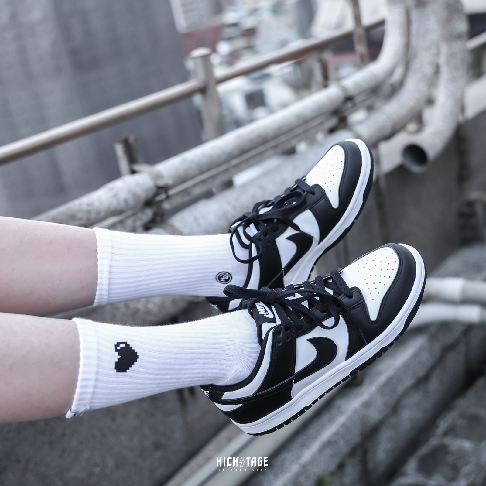 NIKE DUNK LOW (GS) PANDA 黑白熊貓低筒休閒鞋【CW1590-100】