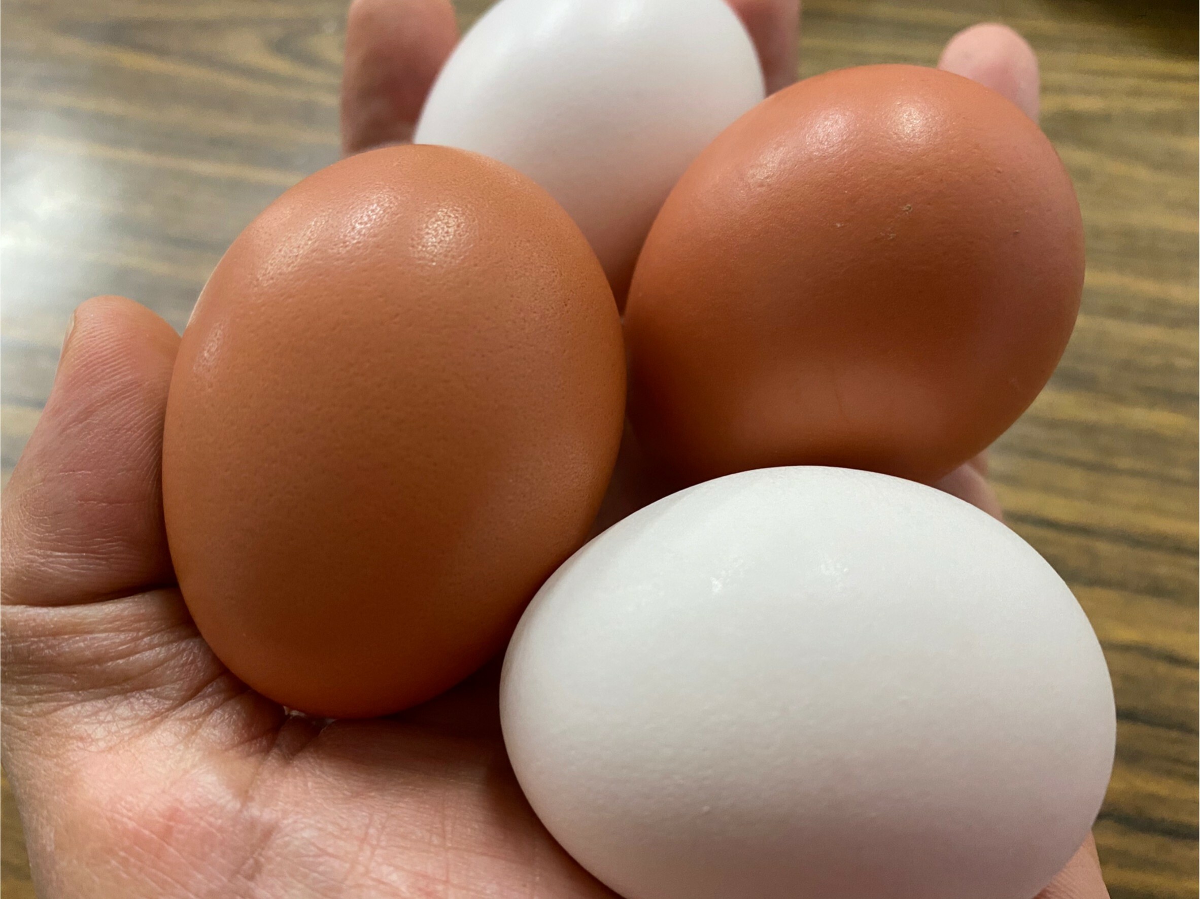 【紅白蛋禮盒｜貂蟬養生雞蛋】新鮮紅殼蛋30顆/盒 + 新鮮白殼蛋30顆/盒  ｜全台宅配｜陳秋池畜牧場