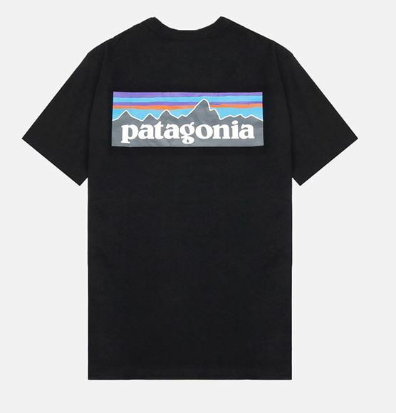 PATAGONIA P-6 Logo Responsibility Short Sleeve Tee 38504