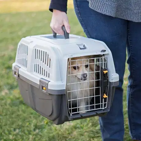 Camon Airline Approved Pet Carrier．S/M