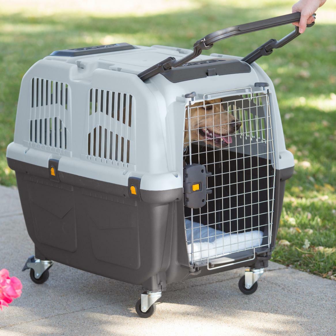 Camon Airline Approved Pet Carrier 飛機籠 L