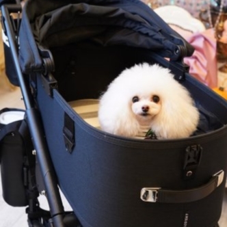 AirBuggy Dome3 Large 高級寵物手推車20kg．EARTH BLACK