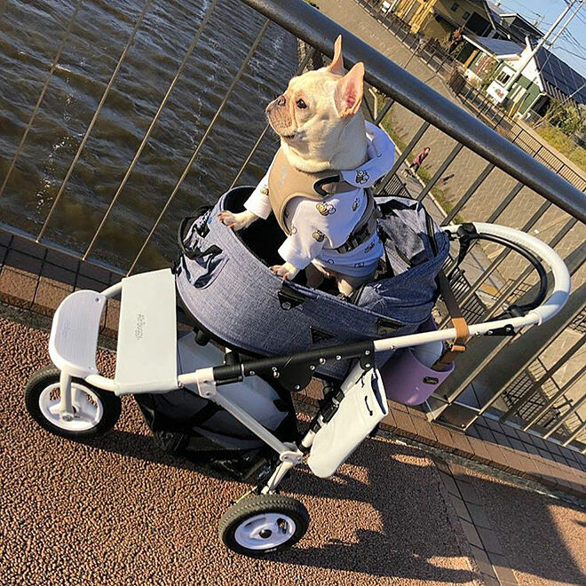 AirBuggy Dome3 Large 高級寵物手推車20kg．MELANGE DENIM