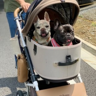 AirBuggy Dome3 Large 高級寵物手推車20kg．CACAO