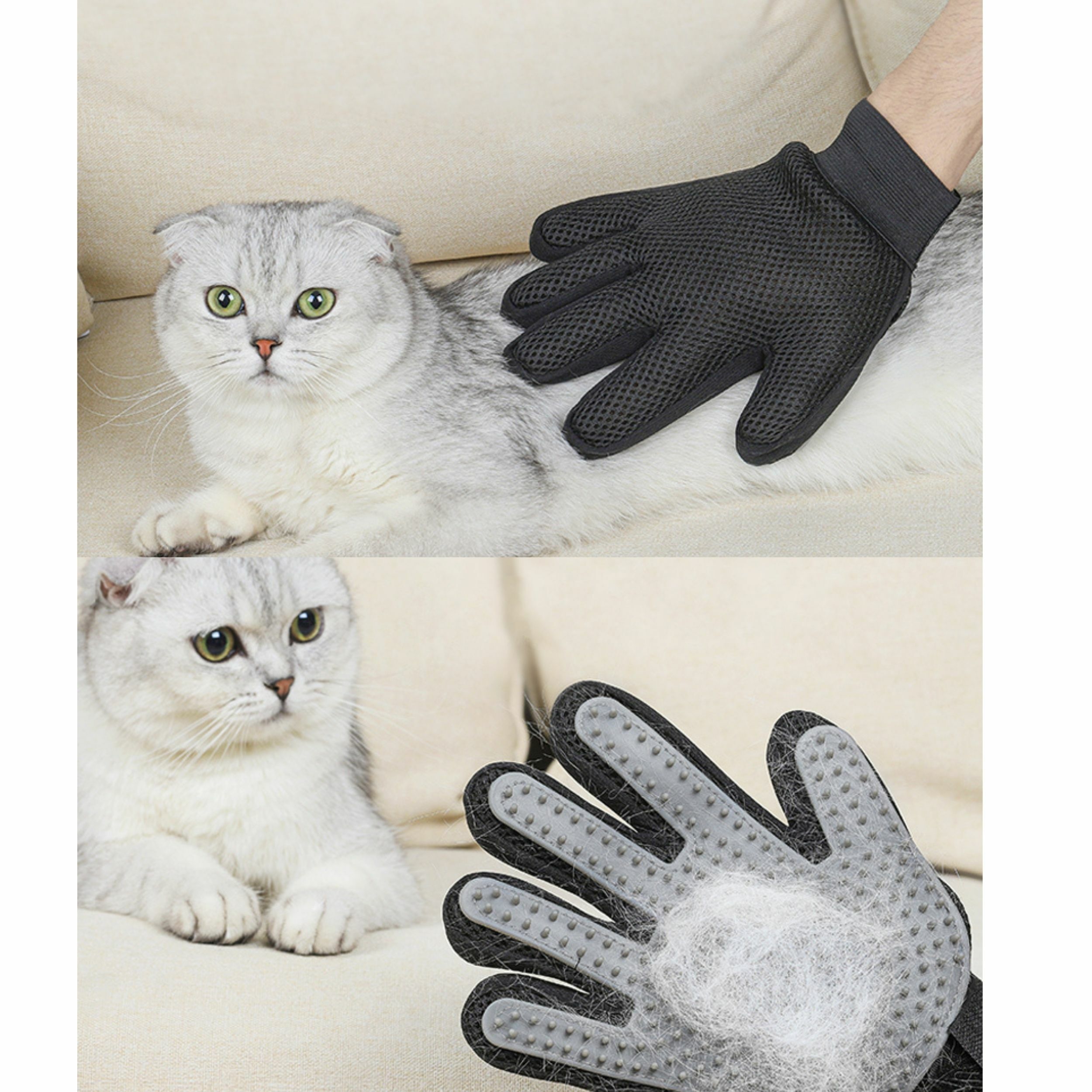 grooming gloves cat