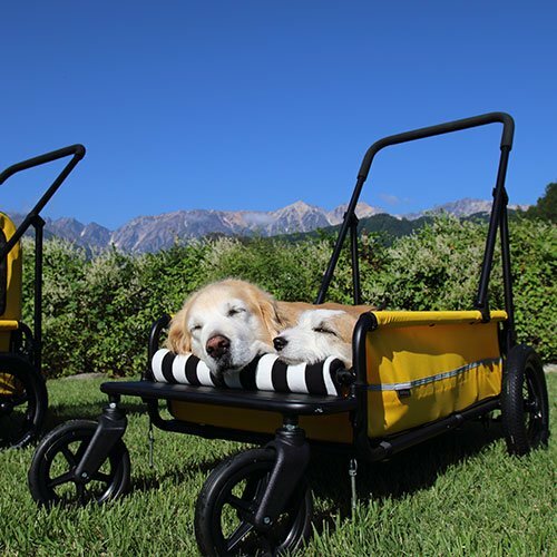 Airbuggy Carriage Stroller For Pets Smile Yellow 50kg