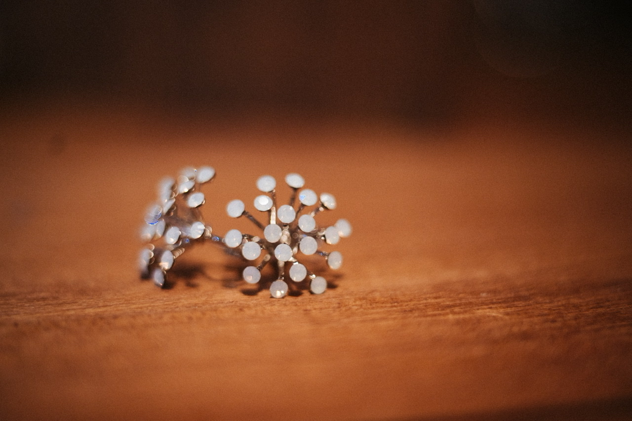 Earrings-522（蛋白鑽）