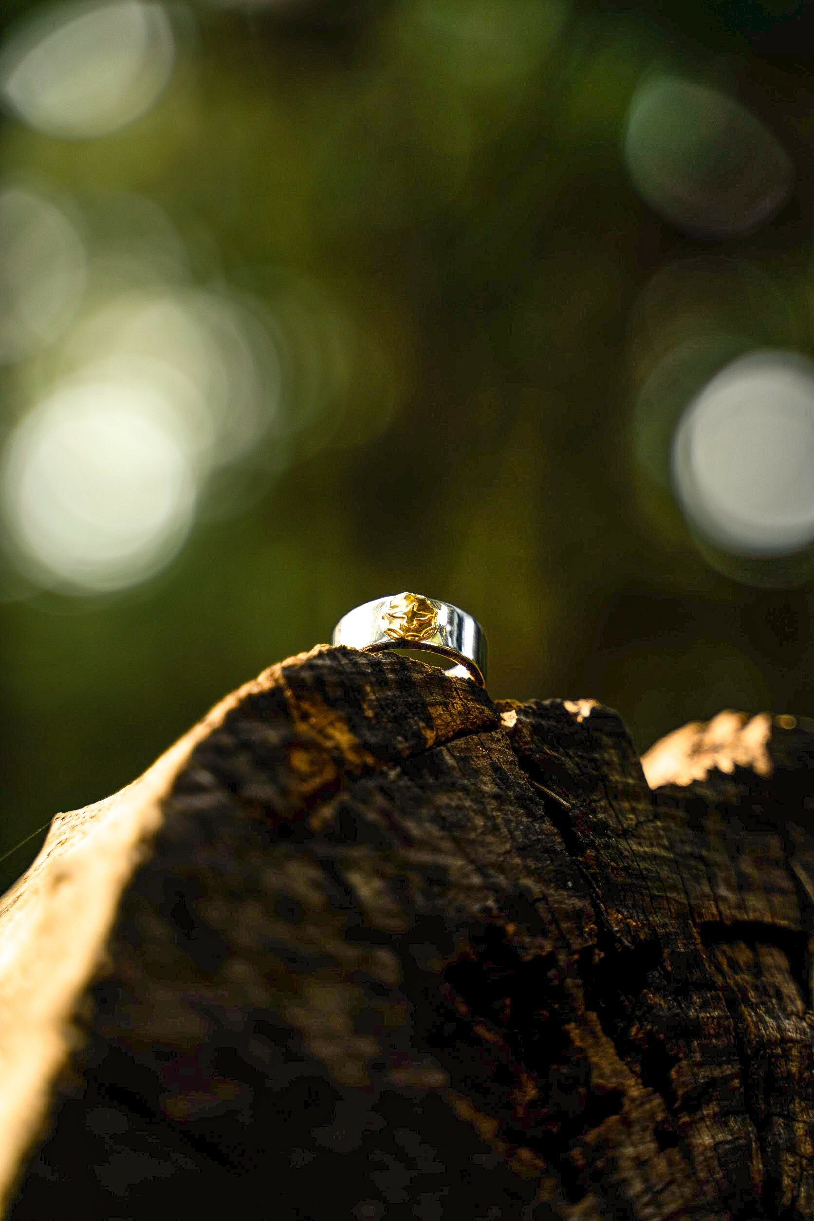 Corvus Metal 點金平打戒指