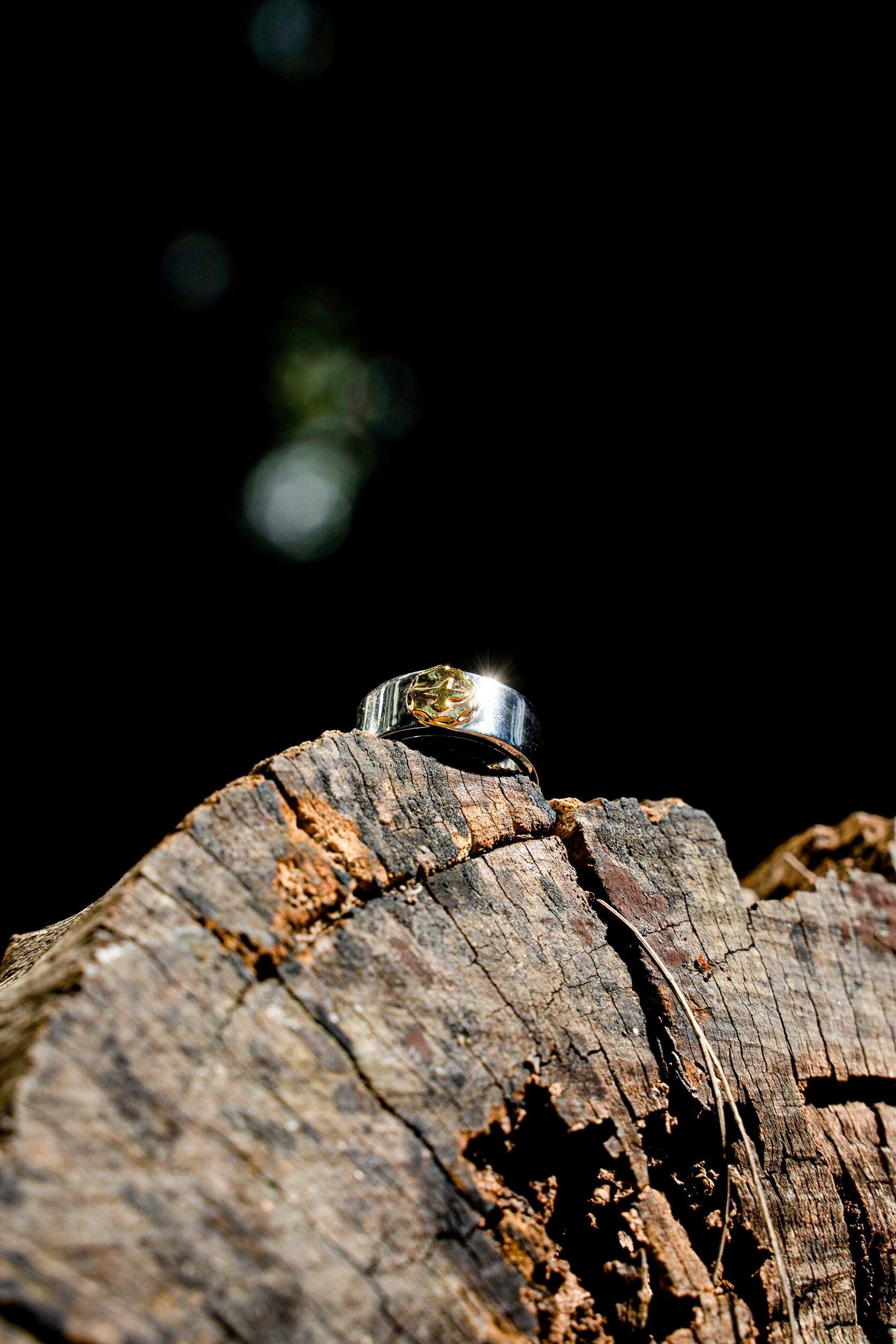 Corvus Metal 點金平打戒指