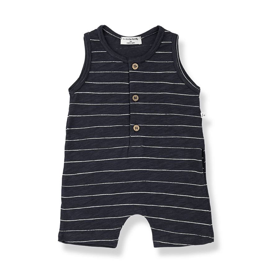 1+ IN THE FAMILY - Dan（Graphite）