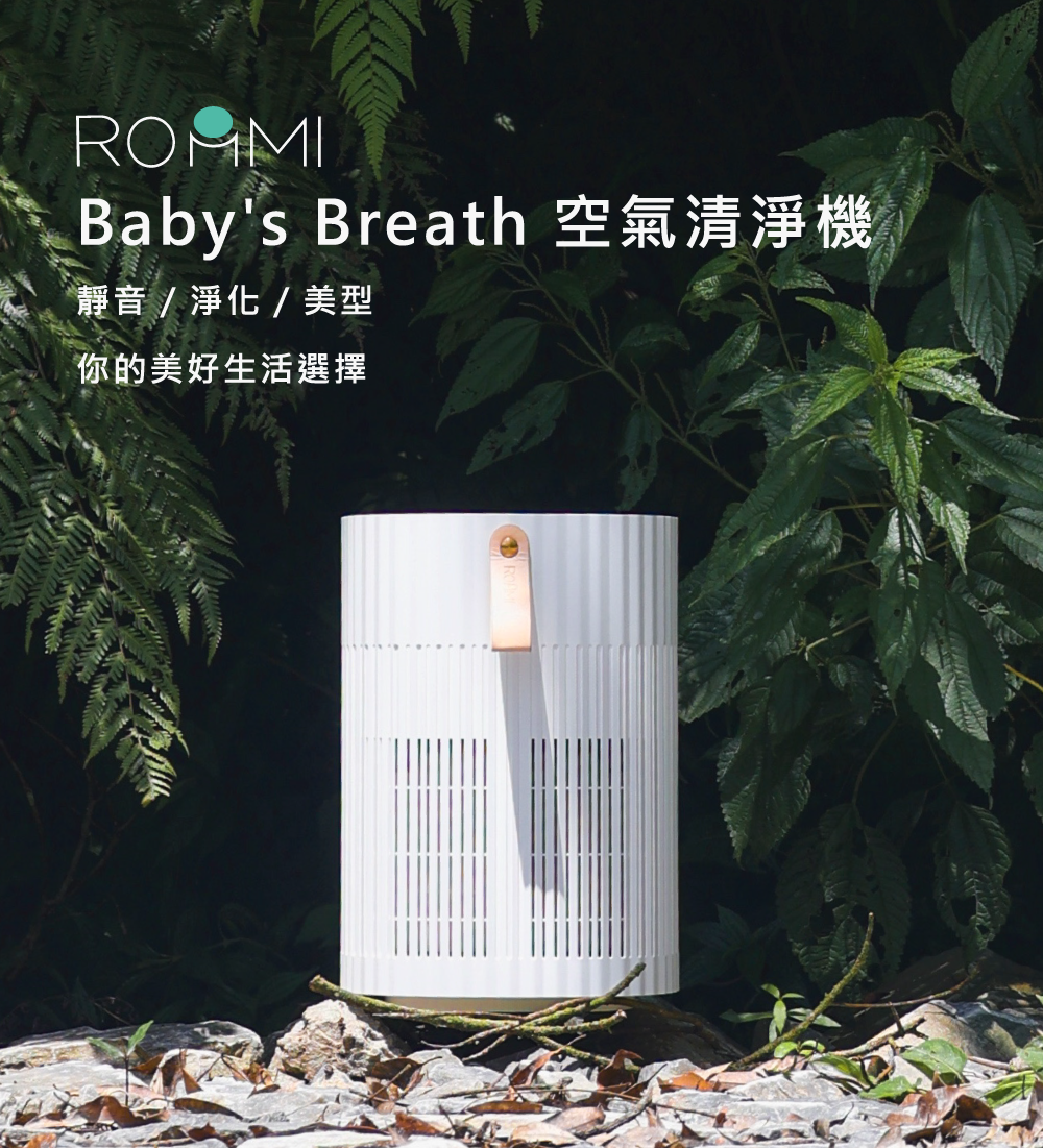 Baby's breath deals air purifier