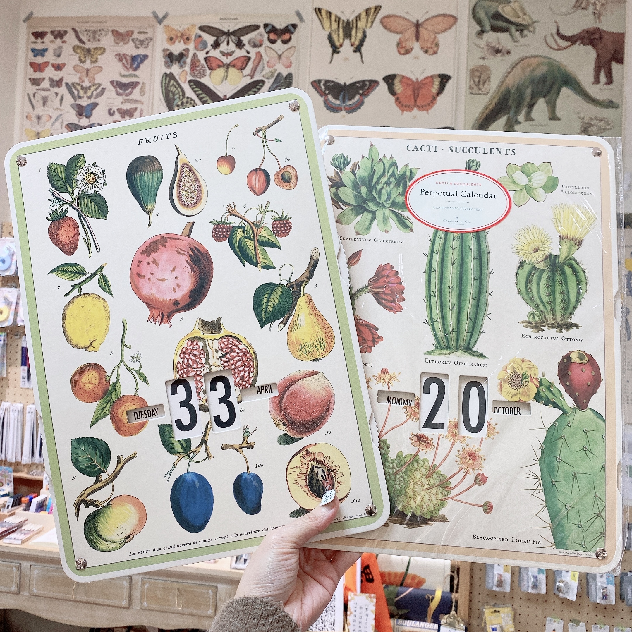 仙人掌 水果 萬年曆轉盤｜美國 Cavallini