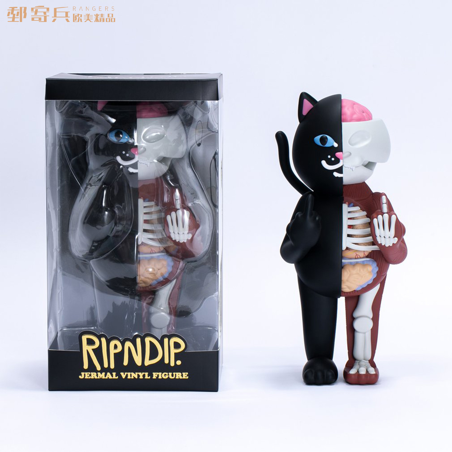 RIPNDIP RND 中指貓半解剖公仔Vinyl Figure RND4609