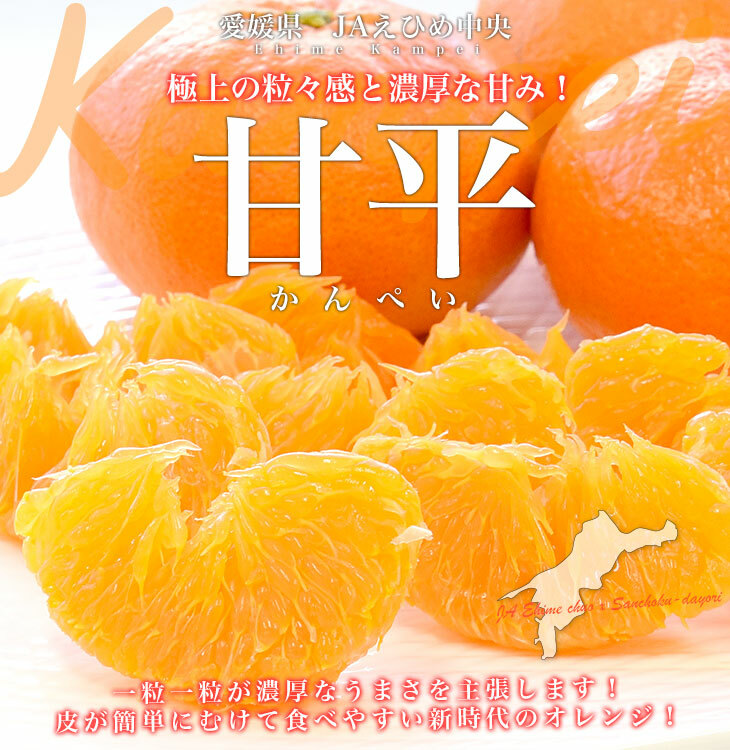 愛媛甘平柑橘 3KG 8玉