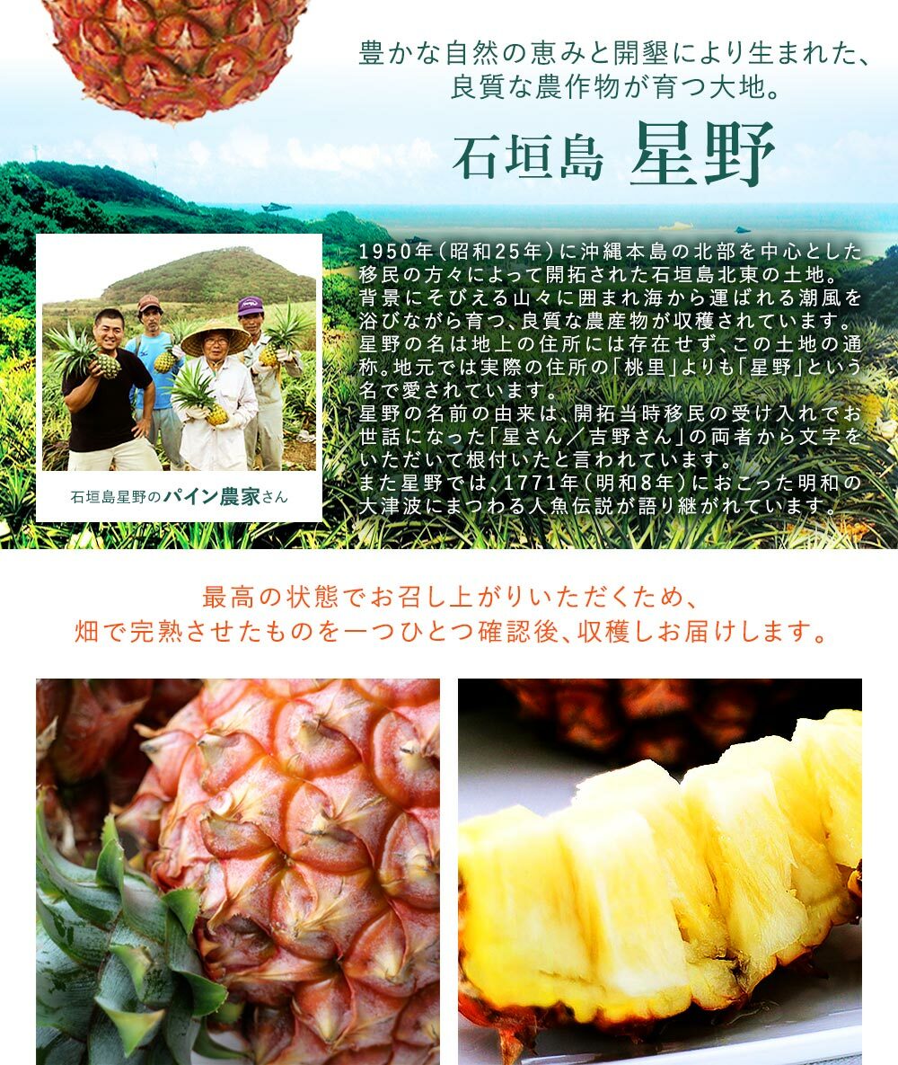 沖縄桃味菠蘿 (2L 6玉) 約4.2kg/箱