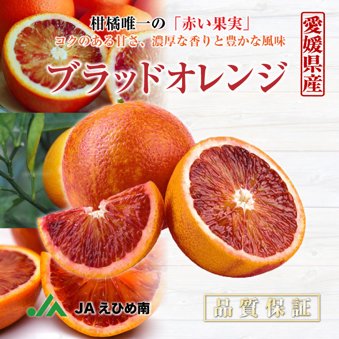 愛媛血橙