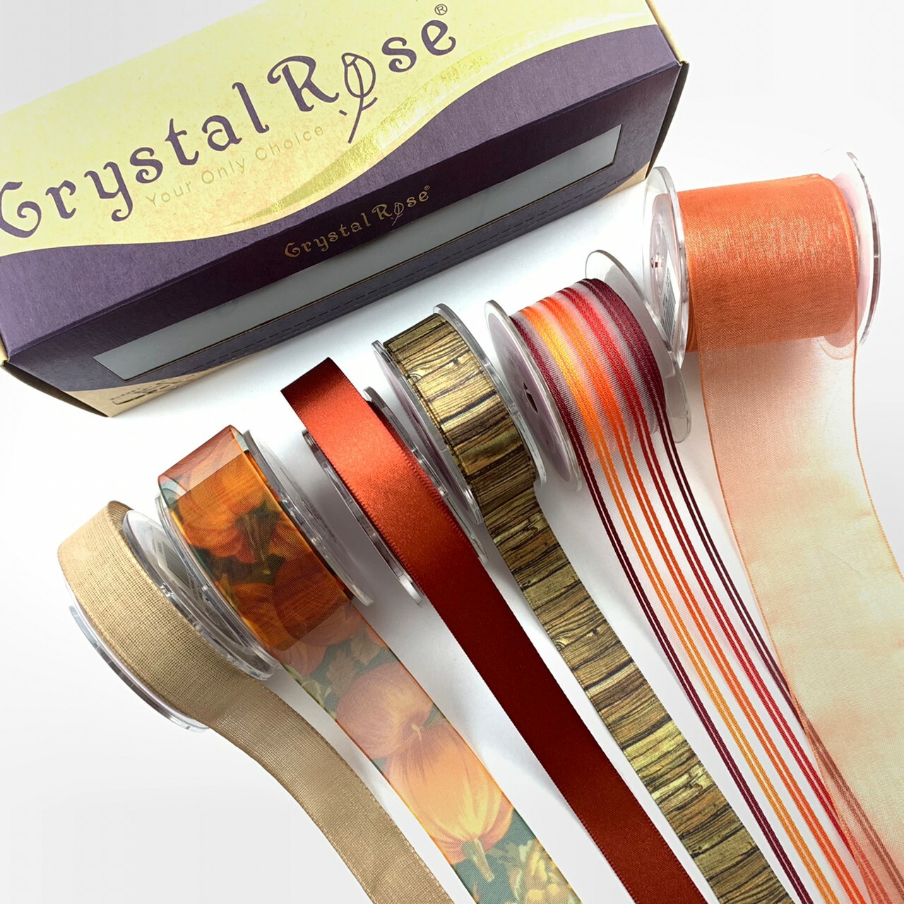 日暮茶橘緞帶禮盒/禮物Idea系列/6入