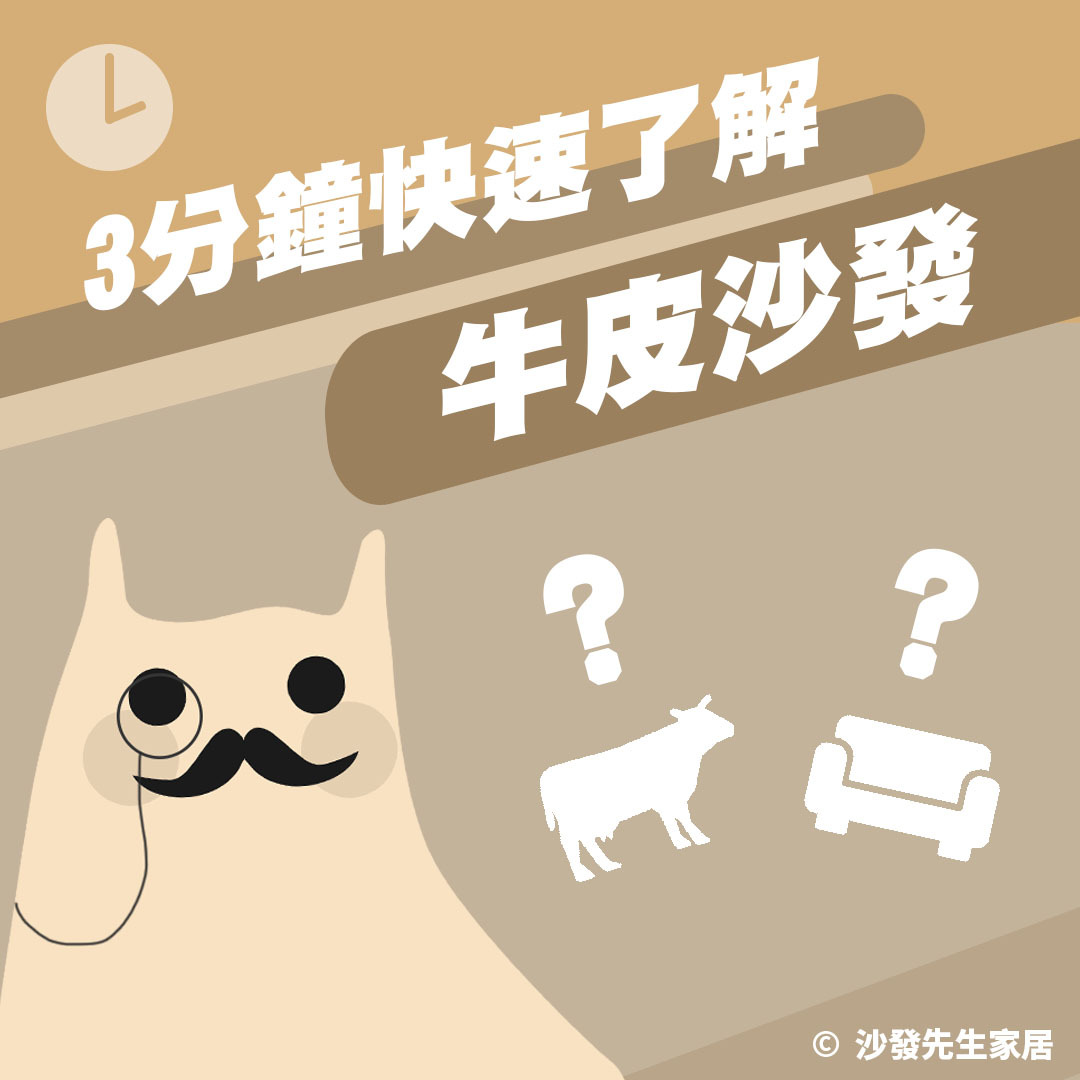 讓你3分鐘快速了解牛皮與牛皮沙發的愛恨糾葛