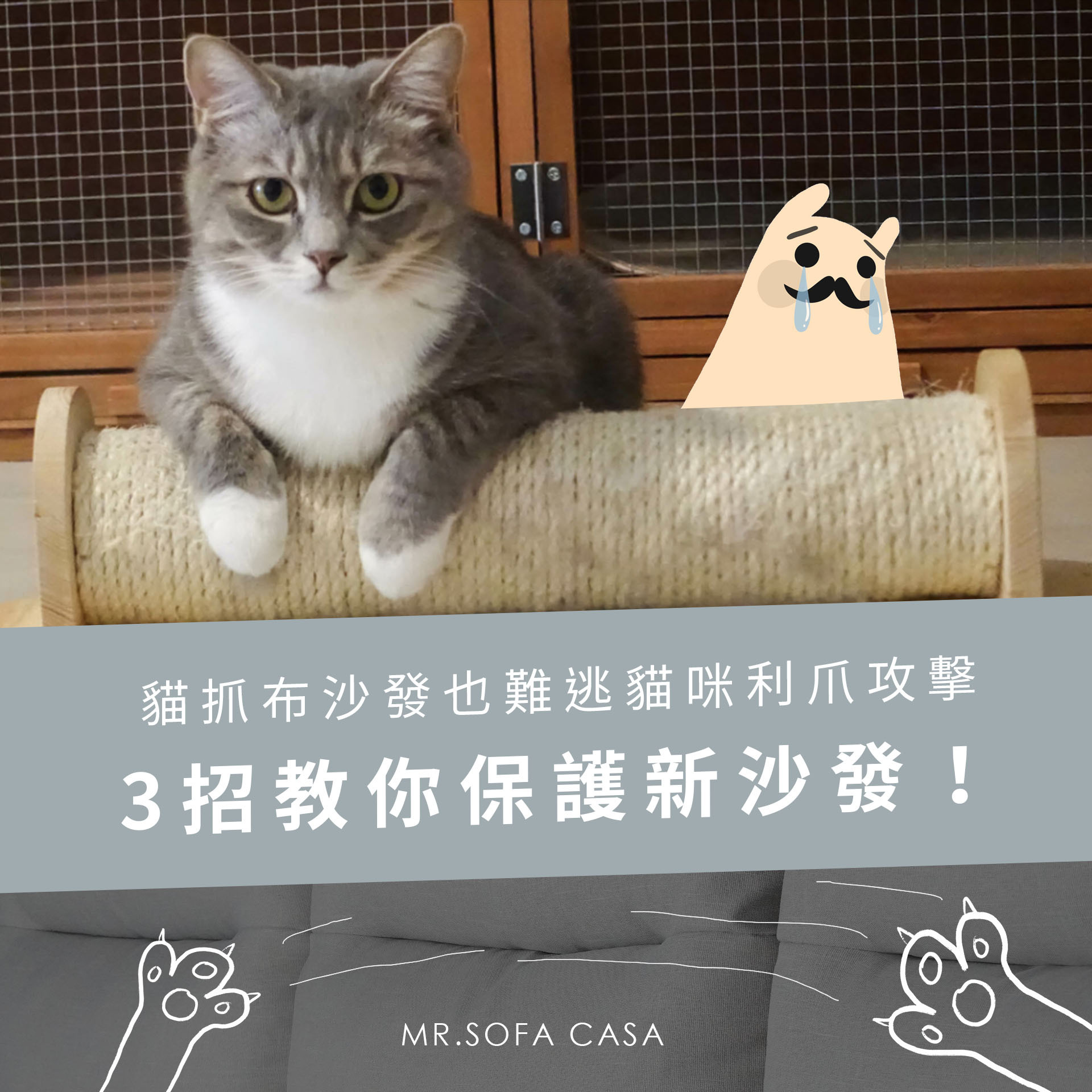 貓抓布沙發也難逃貓咪利爪攻擊，3招教你保護新沙發！