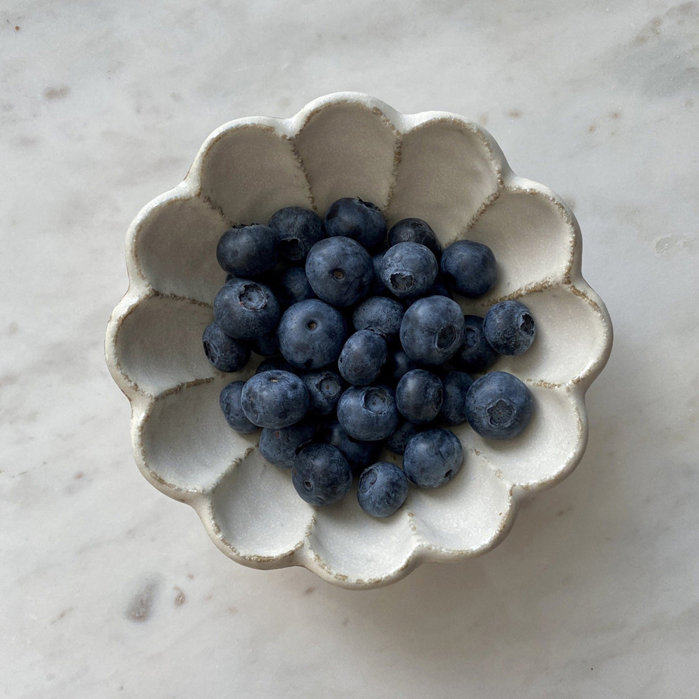 Minoware Rinka 12cm Bowl White｜Kaneko Kohyo