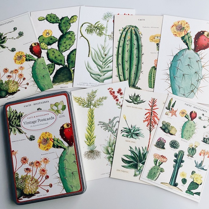 多肉植物Cacti & Succulents 復古錫盒明信片18 入組｜ 美國 Cavallini & Co.
