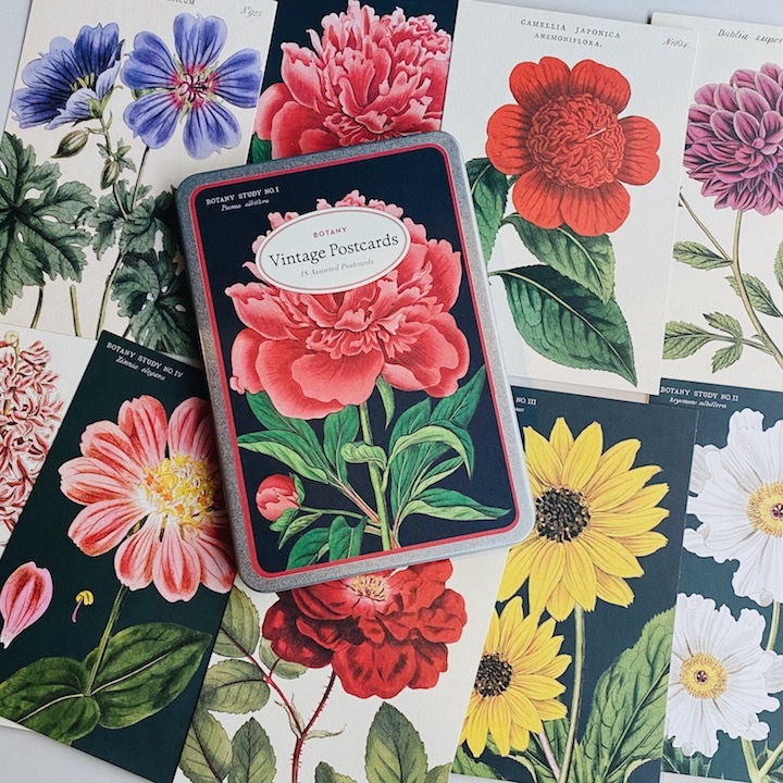 植物學Botany 復古錫盒明信片18 入組｜ 美國 Cavallini & Co.