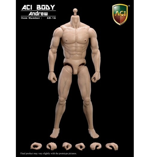 ACI : 1/6 肌肉發達的身體 - 安德魯 : 高加索人