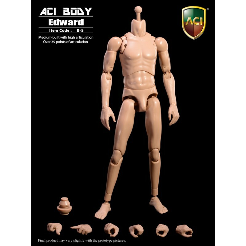 ACI Toys : 1/6 中等身材愛德華 - 長頸關節