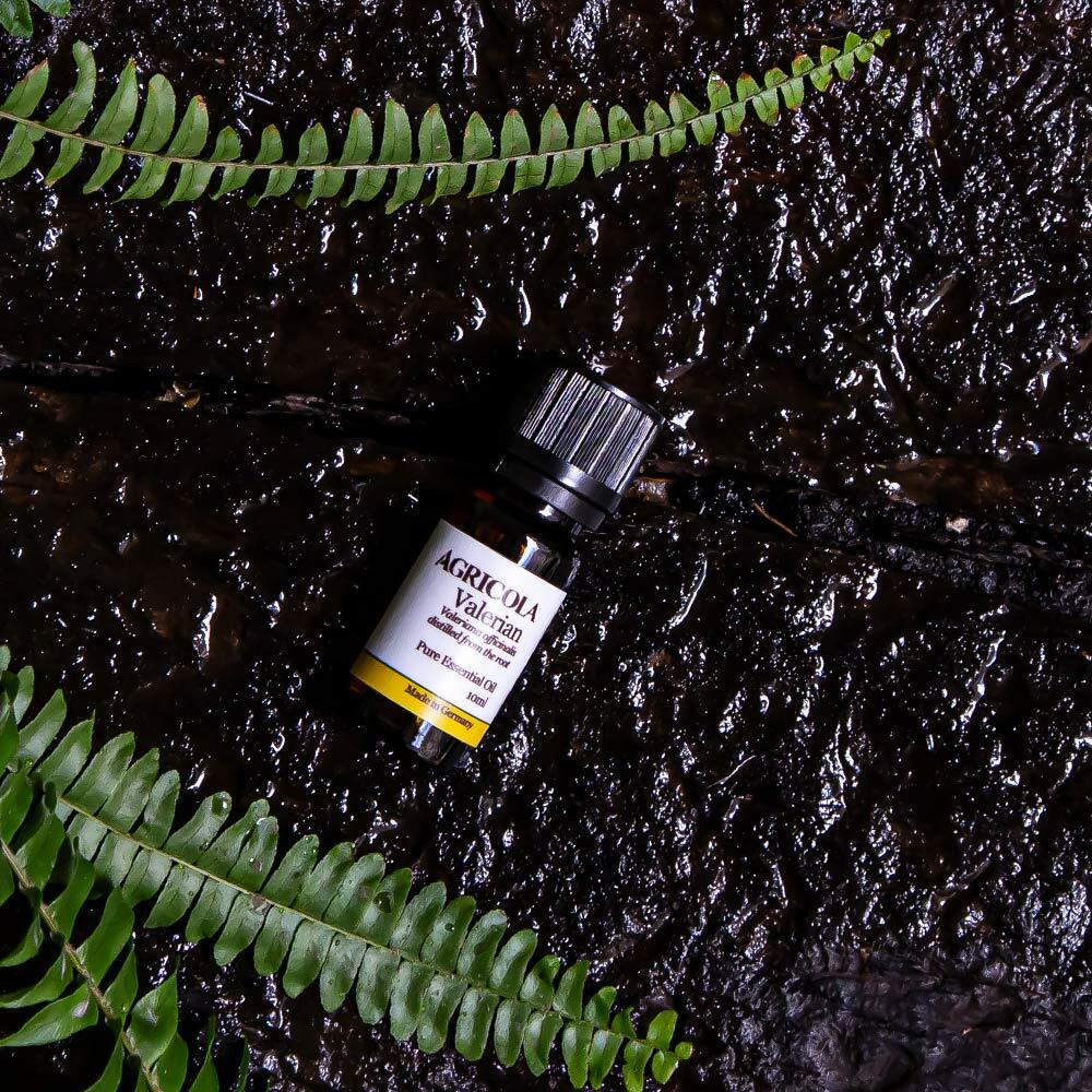 纈草精油 –10ml