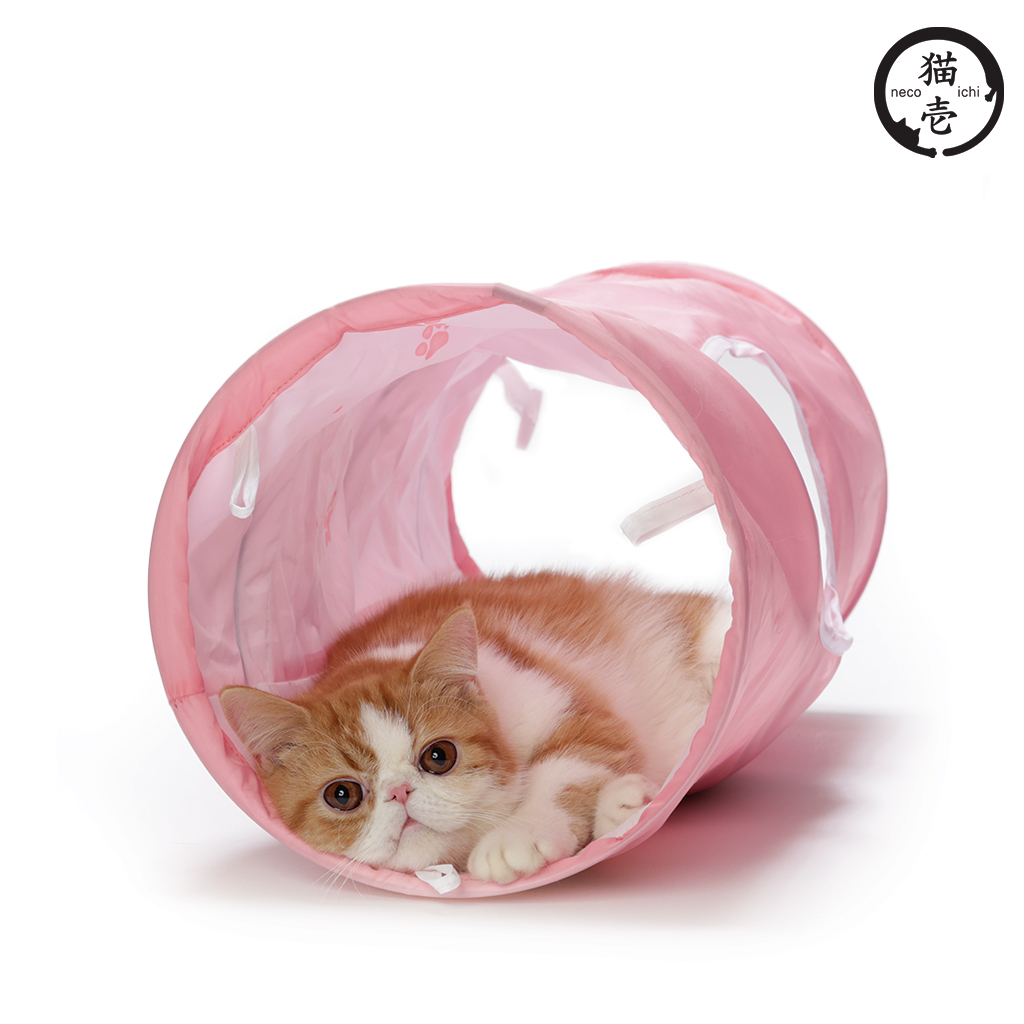 貓壹 奇幻隧道 櫻花粉