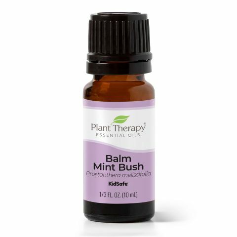 Plant Therapy 澳洲香脂薄荷 Balm Mint Bush 精油 (兒童安全) - 10ml