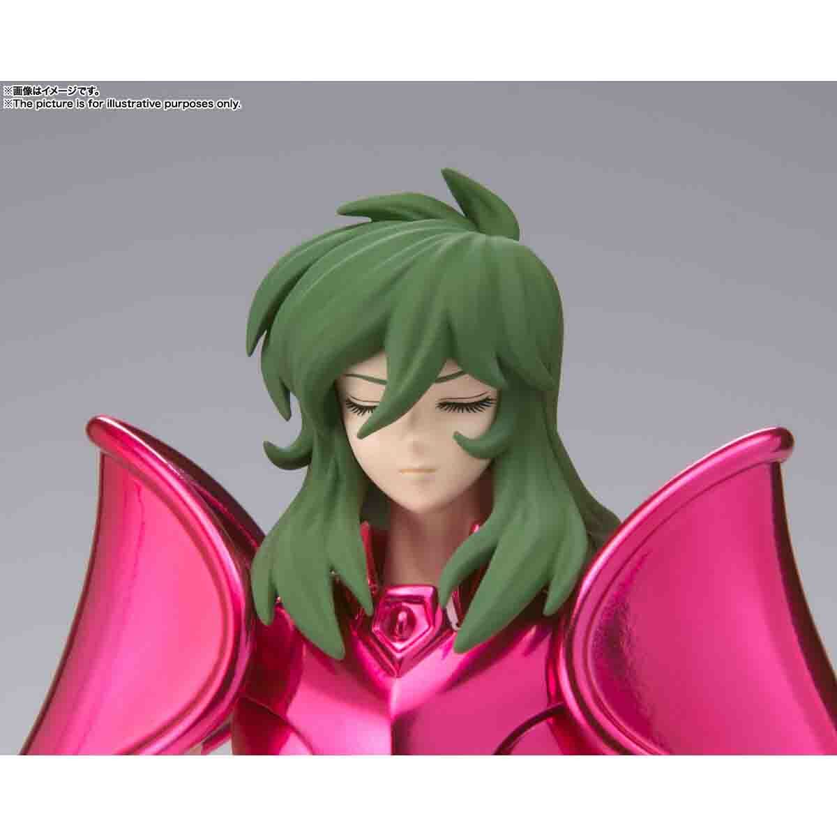 SAINT CLOTH MYTH仙女座順初青銅布|魂WEB