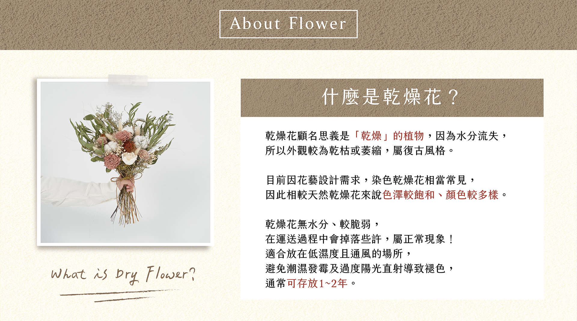 新竹乾燥花店小薇花藝向你介紹什麼是乾燥花？乾燥花該如何保存？