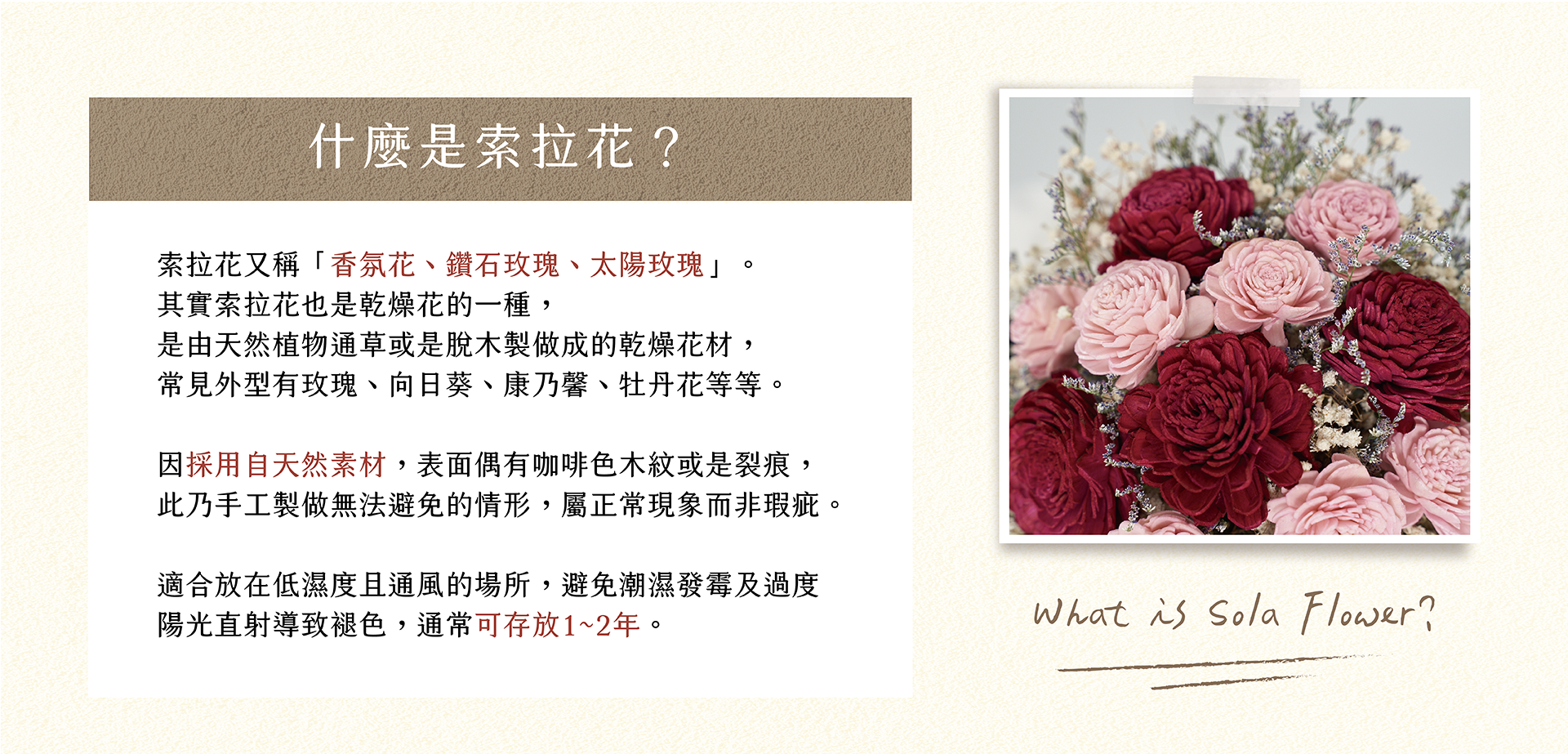 新竹乾燥花店小薇花藝向你介紹什麼是索拉花？什麼是香氛花？它們和天然乾燥花有什麼不同？