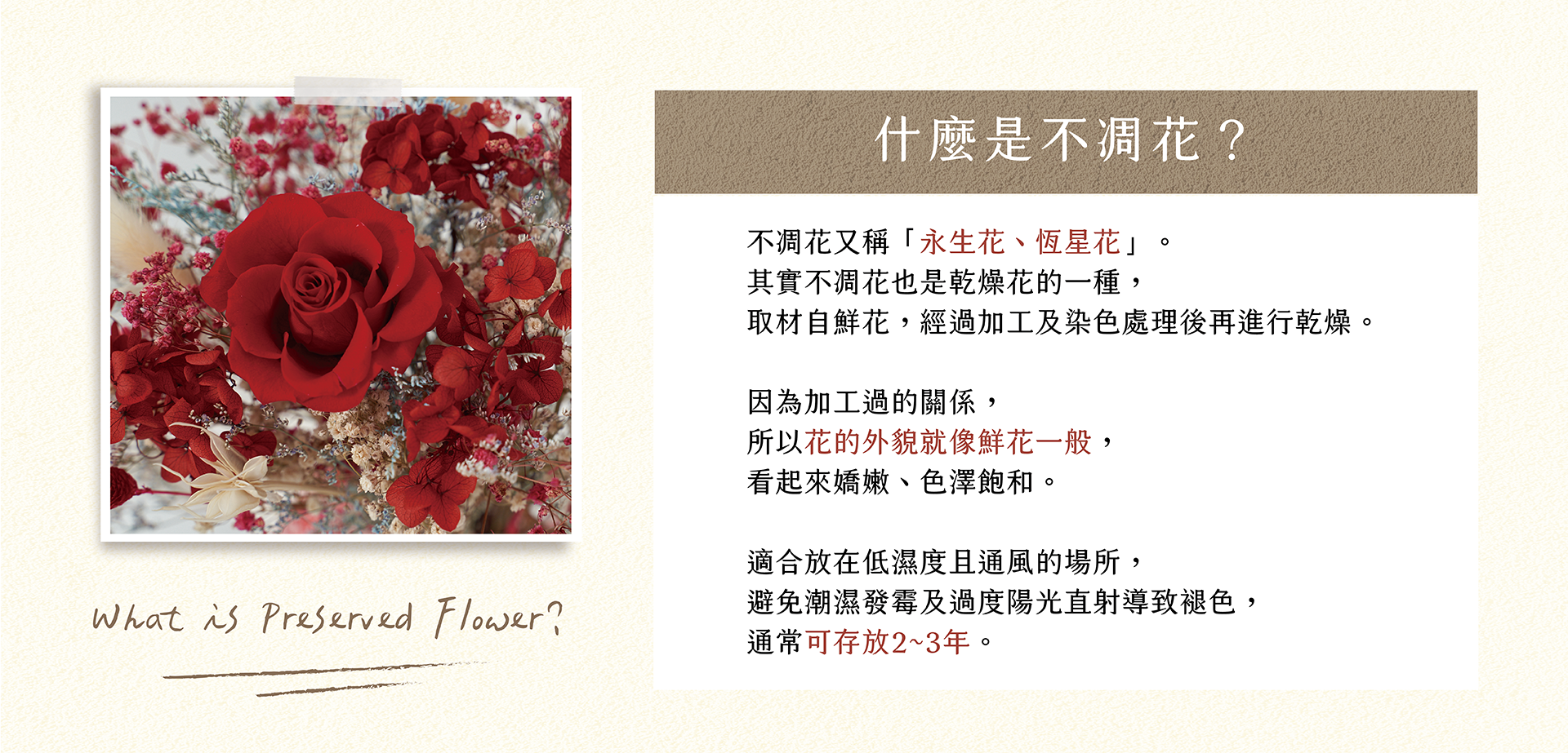 新竹乾燥花店小薇花藝向你介紹什麼是不凋花(永生花)？不凋花如何保存？為什麼不凋花看起來那麼像鮮花呢？